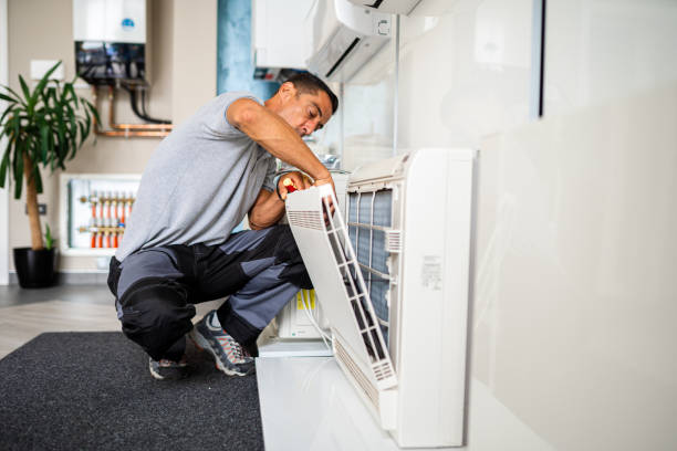 Air Duct Mold Removal in Parker, TX